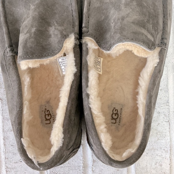 UGG Ascot Suede Slippers in Grey Heather - Picture 6 of 13